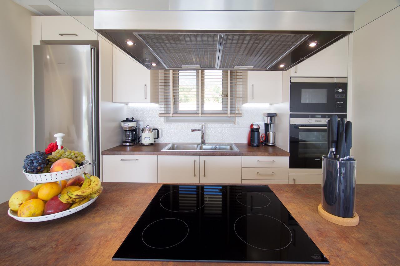 Villa Ion Pangea Villas Trapezaki  Dış mekan fotoğraf
